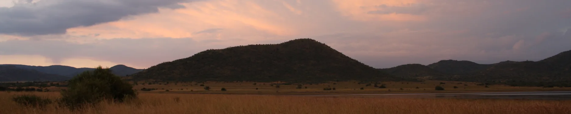 Charlotte Hintergrundbild