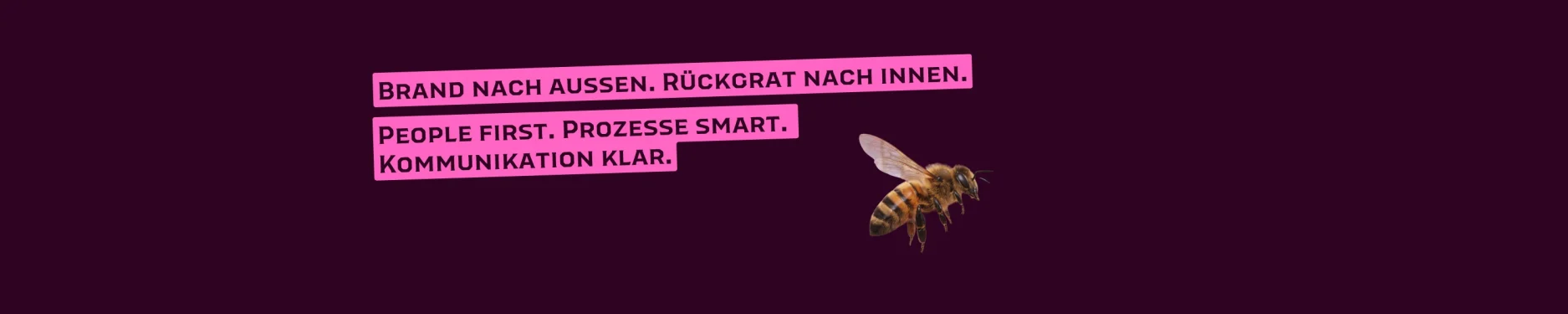 Sam Hintergrundbild