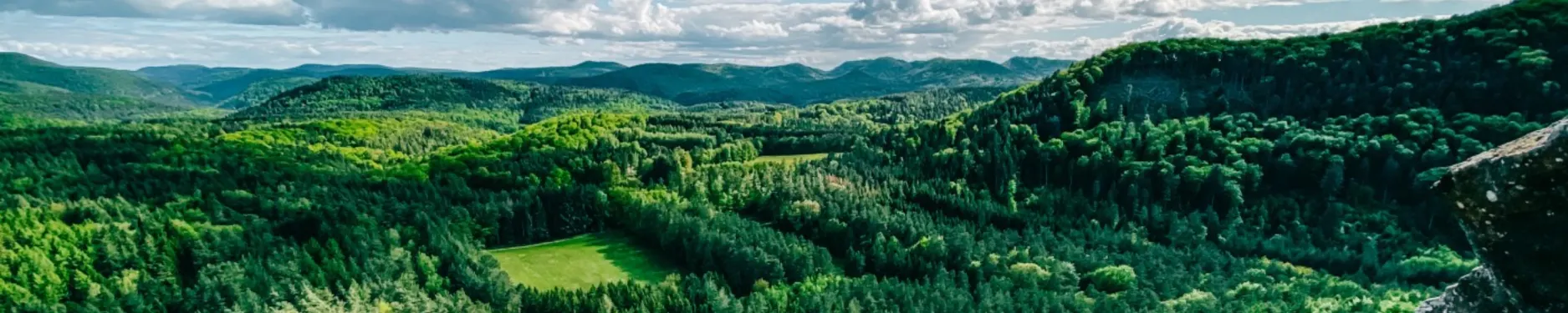 Adina Hintergrundbild