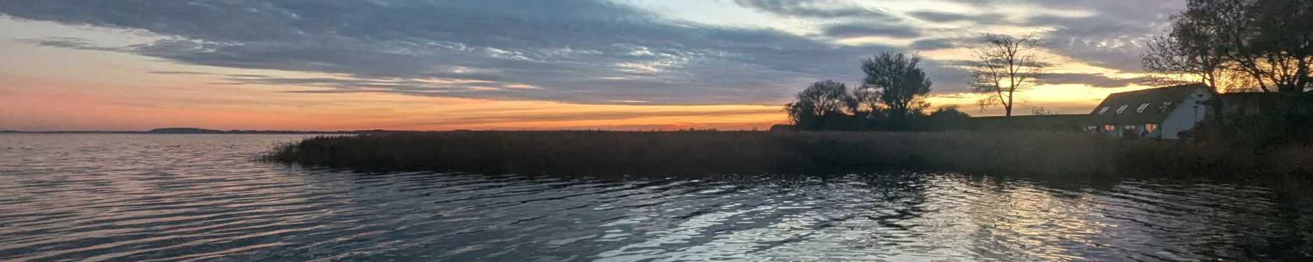 Gesine Hintergrundbild