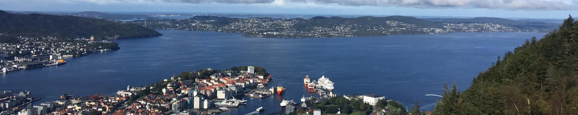 Saskia Hintergrundbild