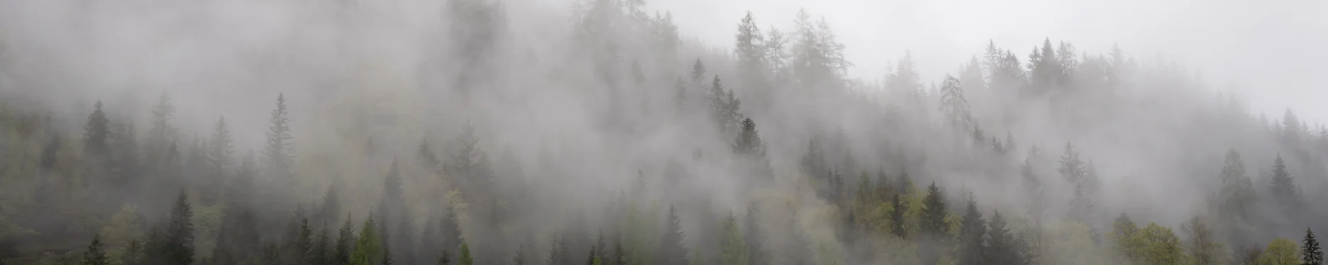 Adrian Hintergrundbild