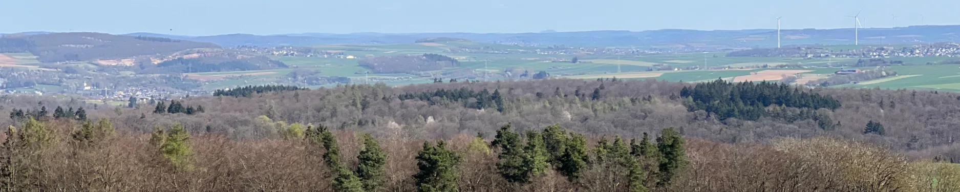 Verena Hintergrundbild