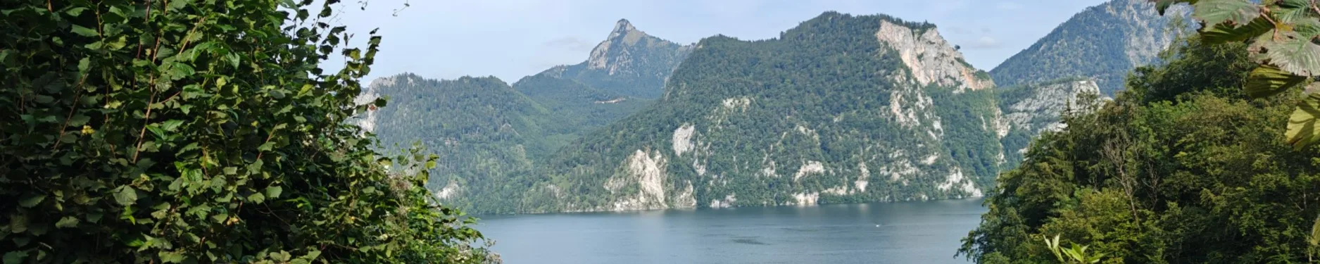 Matthias Hintergrundbild