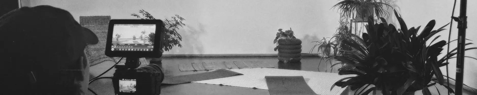 Louie Hintergrundbild