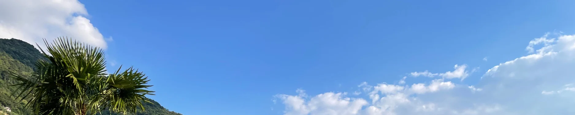 Kevin Hintergrundbild