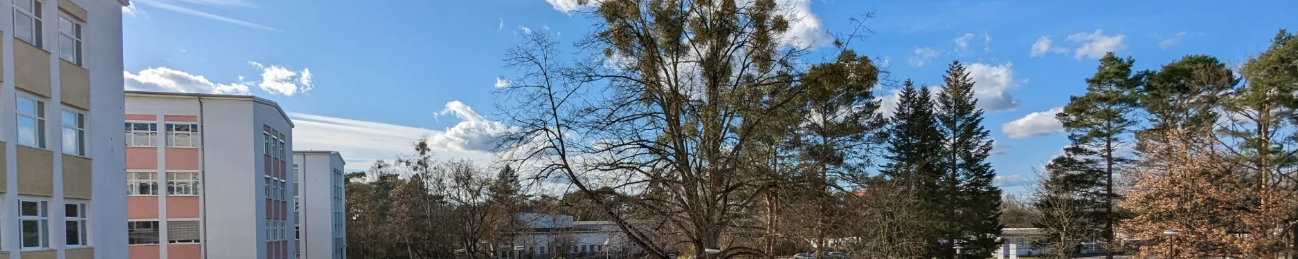 Michael Hintergrundbild