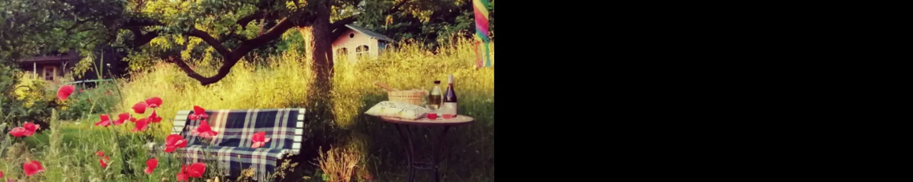 Marco Hintergrundbild