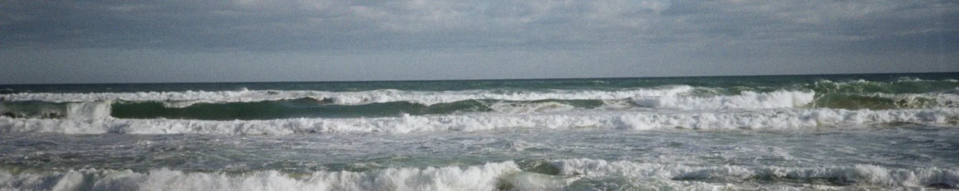 Sandra Hintergrundbild