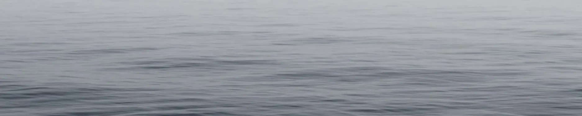 Till Hintergrundbild