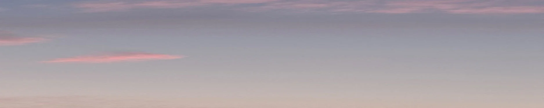 Leonardo Hintergrundbild