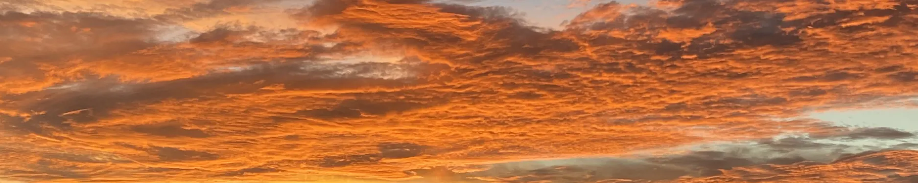 Celine Hintergrundbild