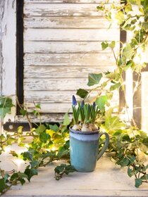 Resultat Saison drittes Bild