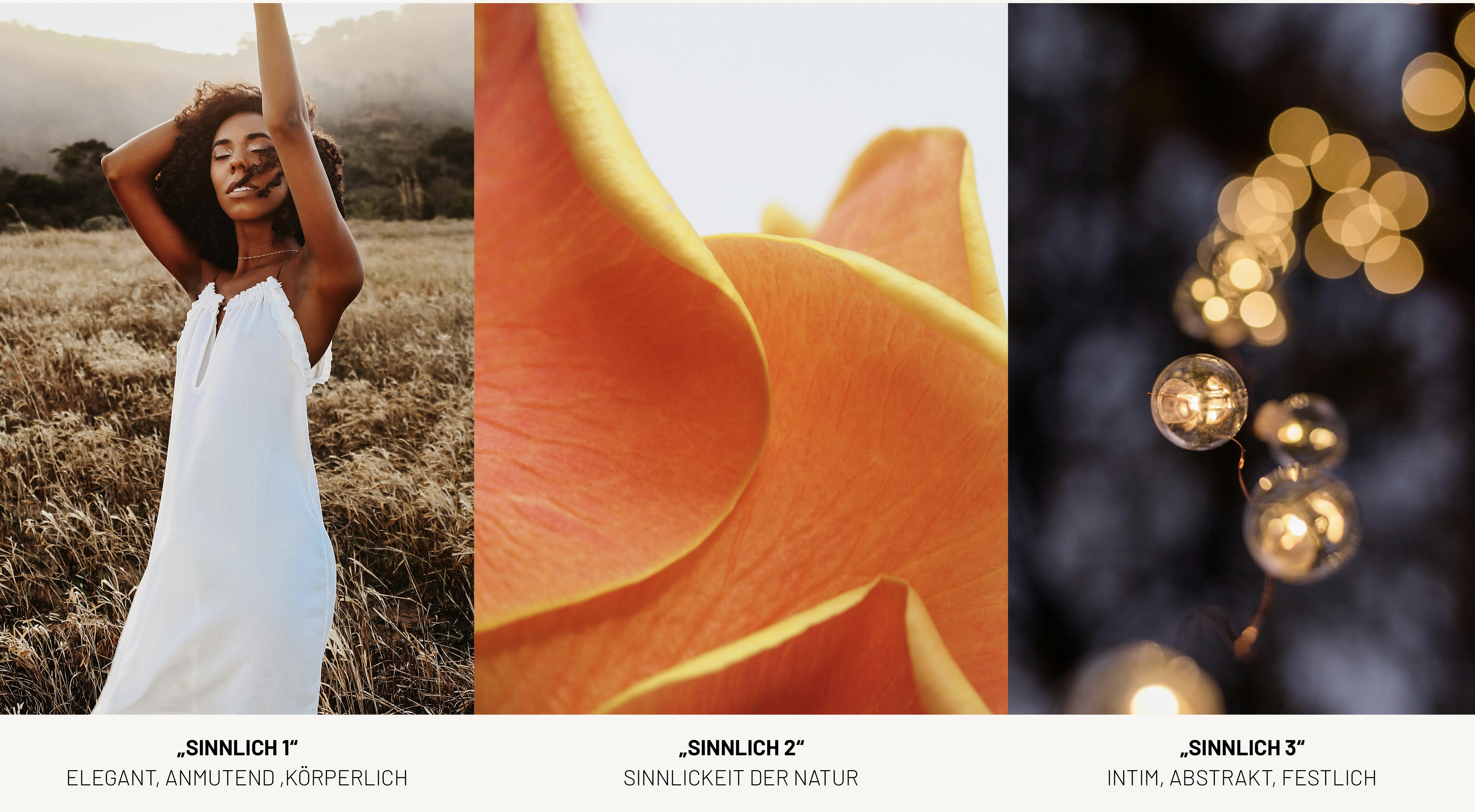 Sinnlichkeit Interpretation