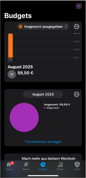 bunq Ausgabenmanagement