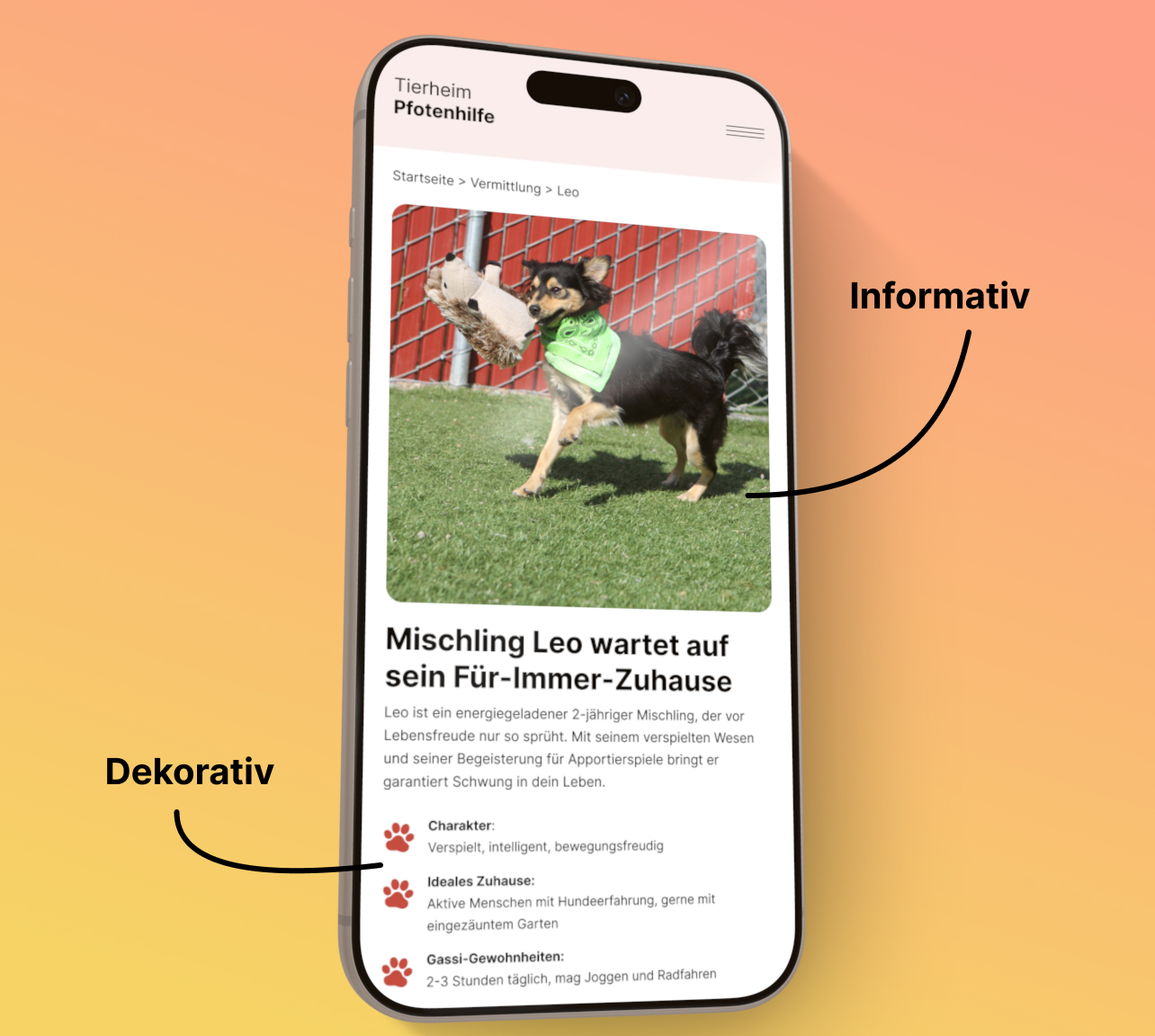 Praxisbeispiel: Tierheim Pfotenhilfe