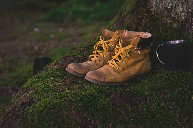 Top Big Bear Hiking Trails to Check Out on Your Next Vacation