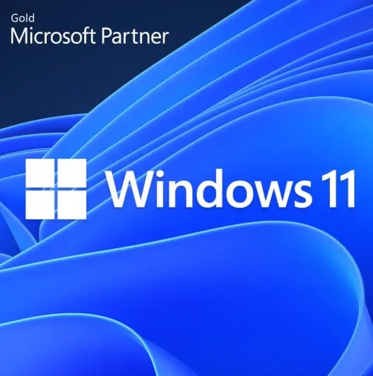 Windows 11 Enterprise