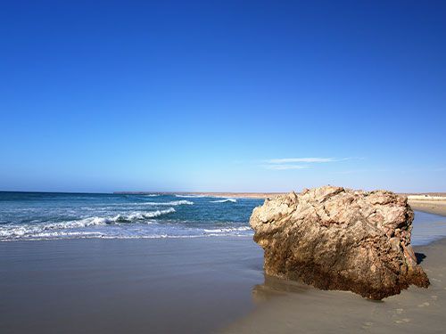 Sohar International