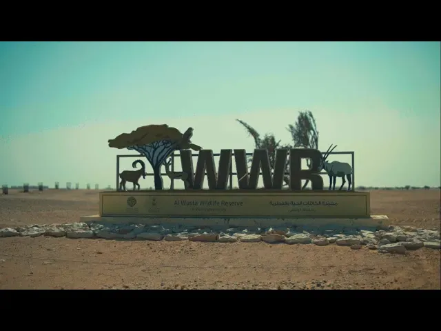 Sohar International
