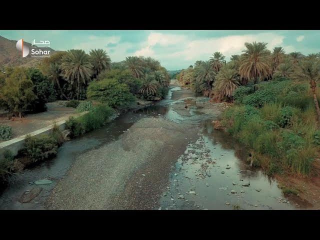 Sohar International