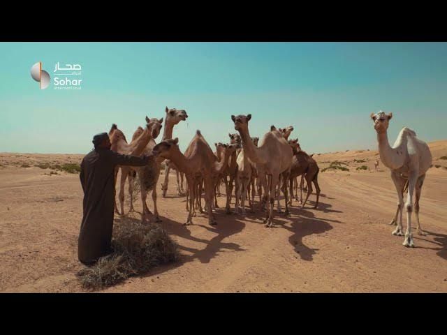 Sohar International
