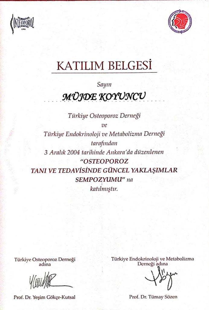 2004 — Endokrinoloji sertifikası