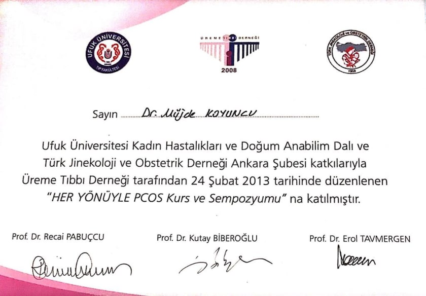 2013 — PCOS sertifikası