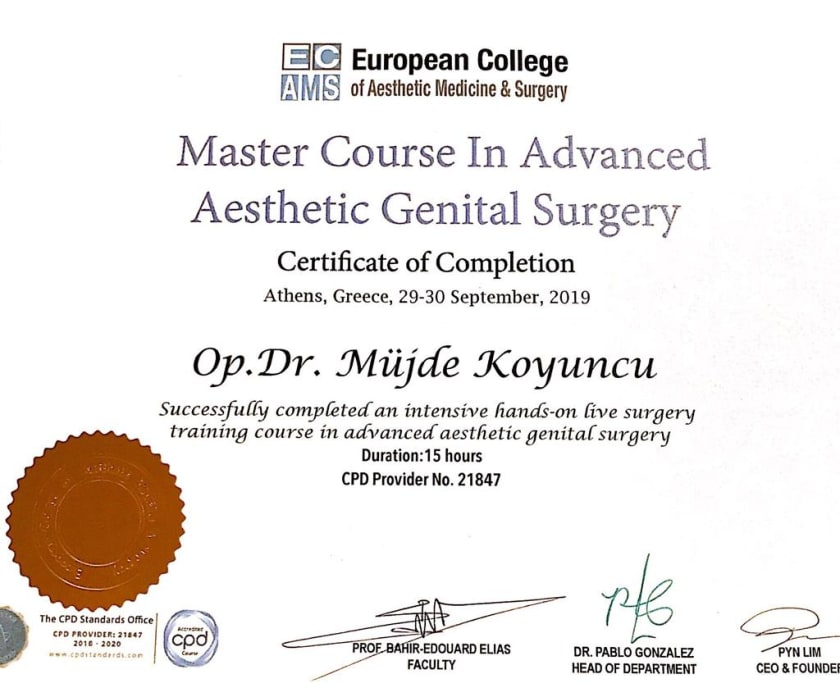 2019 — Advanced Aesthetic Genital Surgery sertifikası