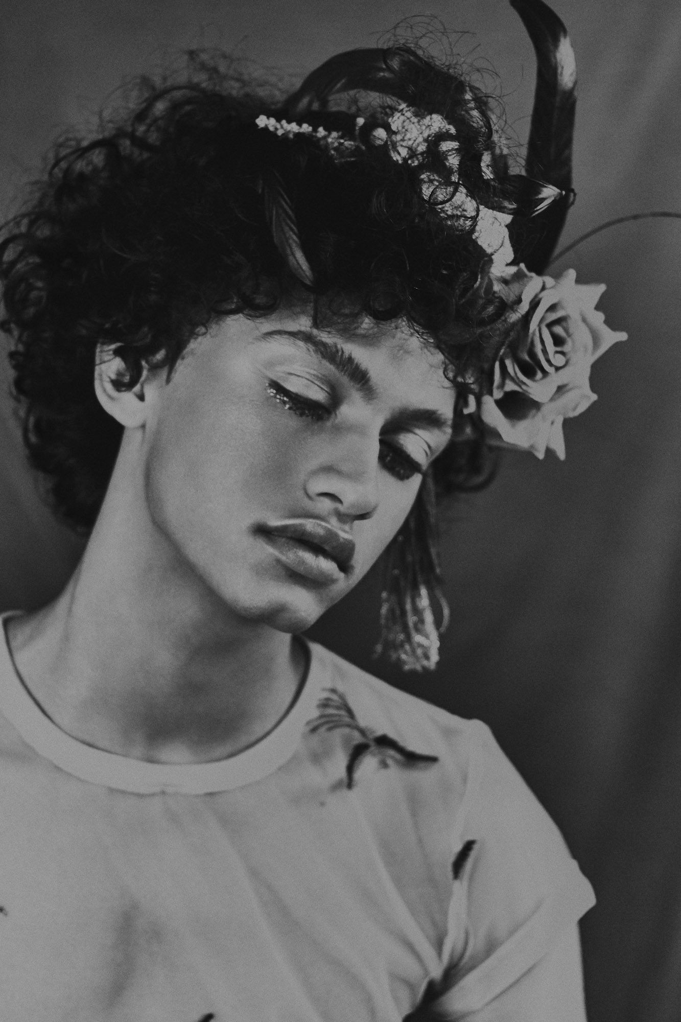 des fleurs des fleurs