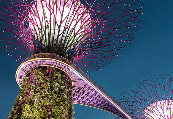 Knockout Kings Invitational