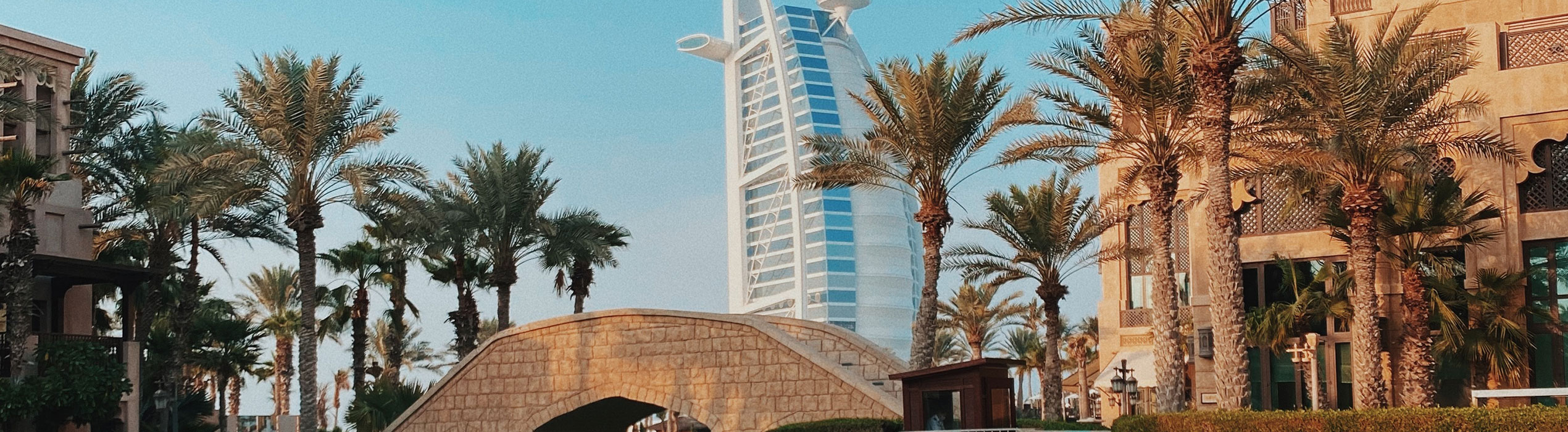 Ultimate Grip Showdown