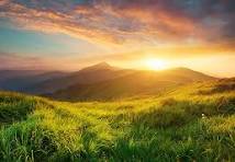 Nature Landscape