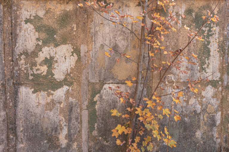 czlowiek-dziurawy_26