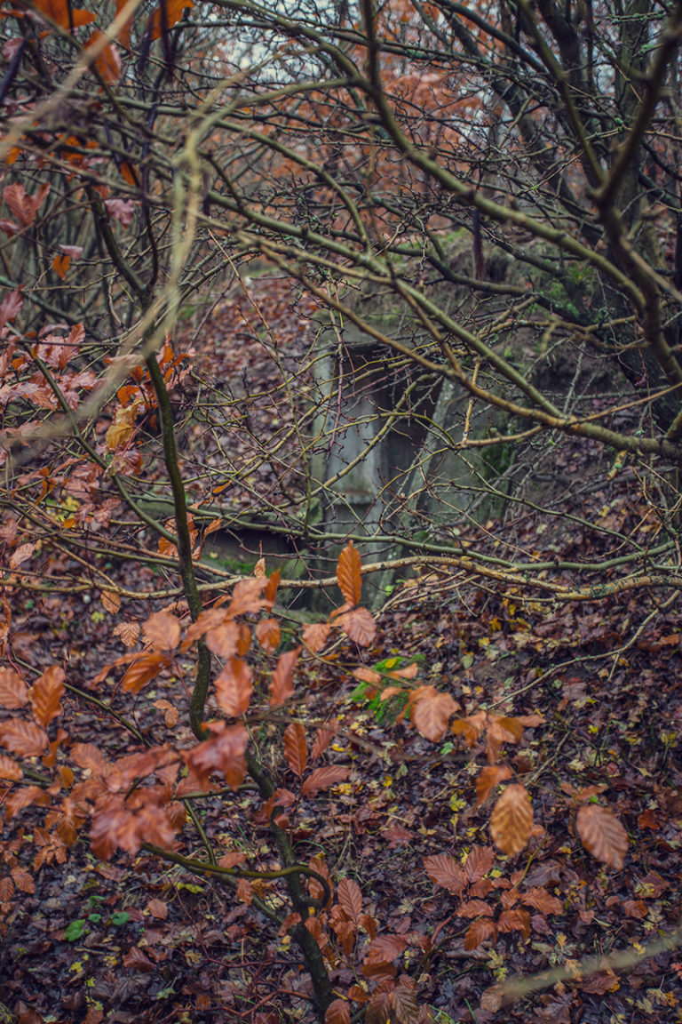 ucieczka-od-wolnosci_23