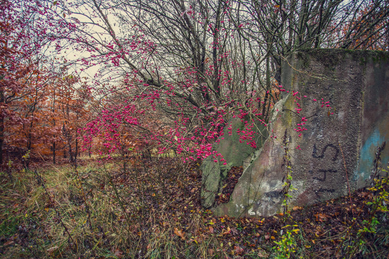 ucieczka-od-wolnosci_24