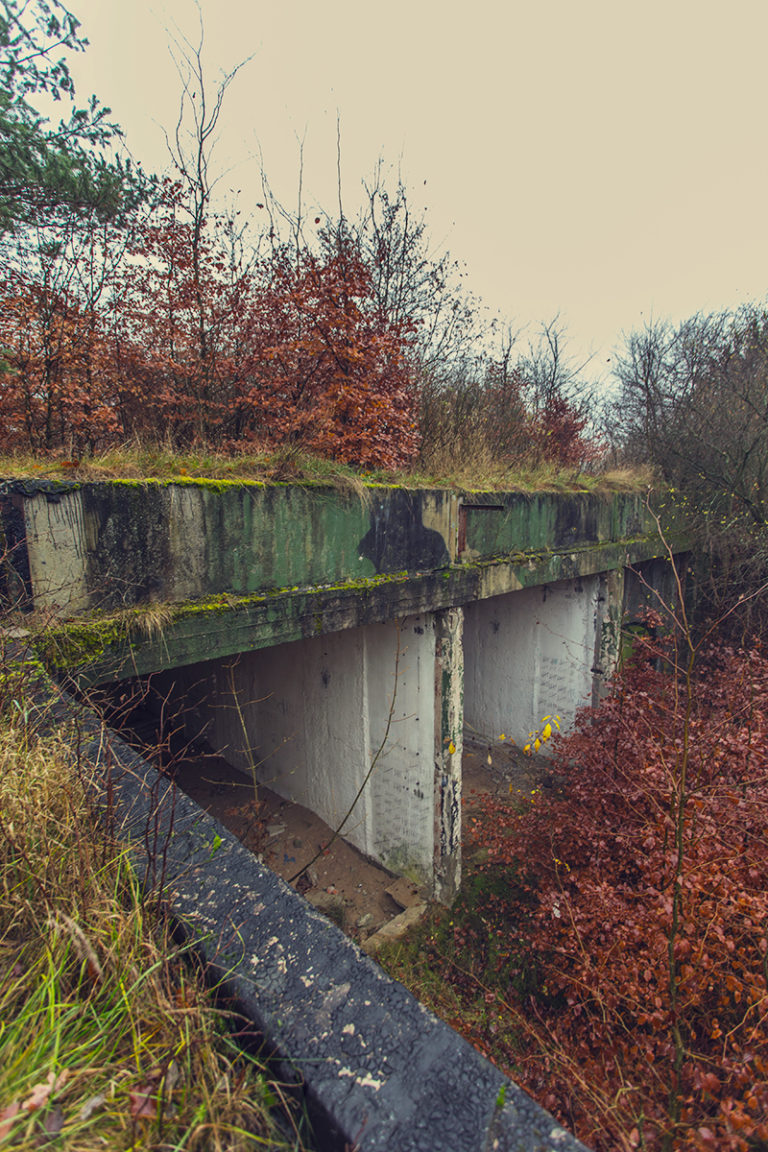 ucieczka-od-wolnosci_28