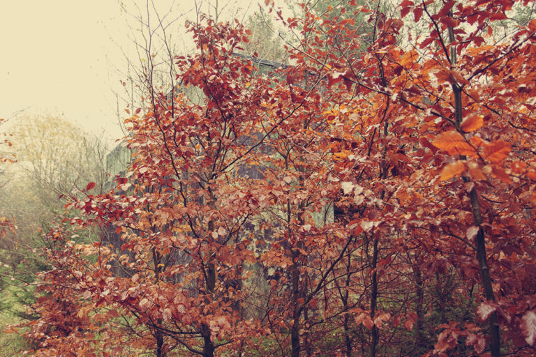 ucieczka-od-wolnosci_01