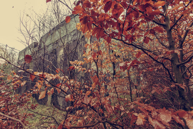 ucieczka-od-wolnosci_02