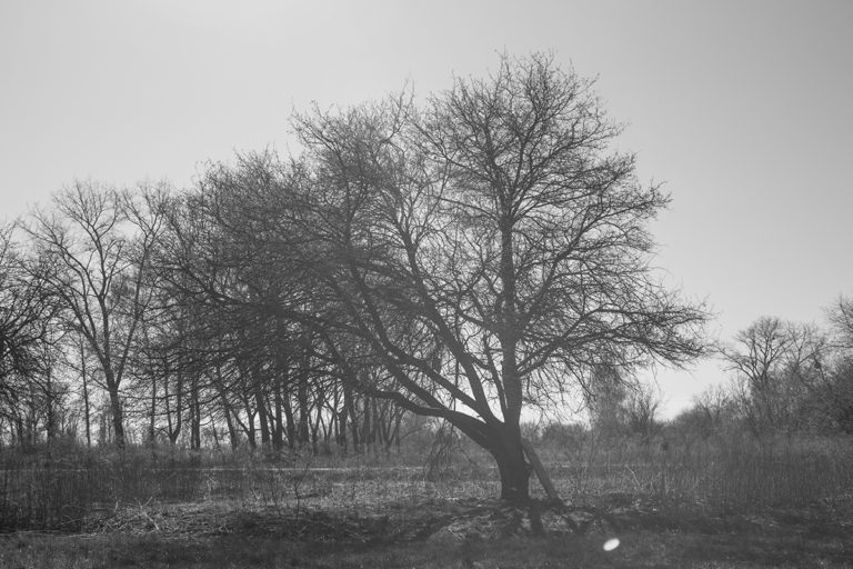 miasto-ktore-chcialam-ominac_01