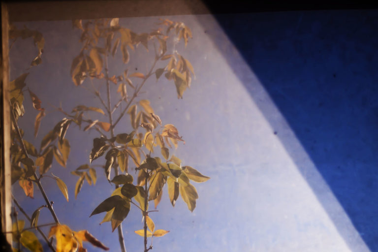 miejsce-zamieszkania_14