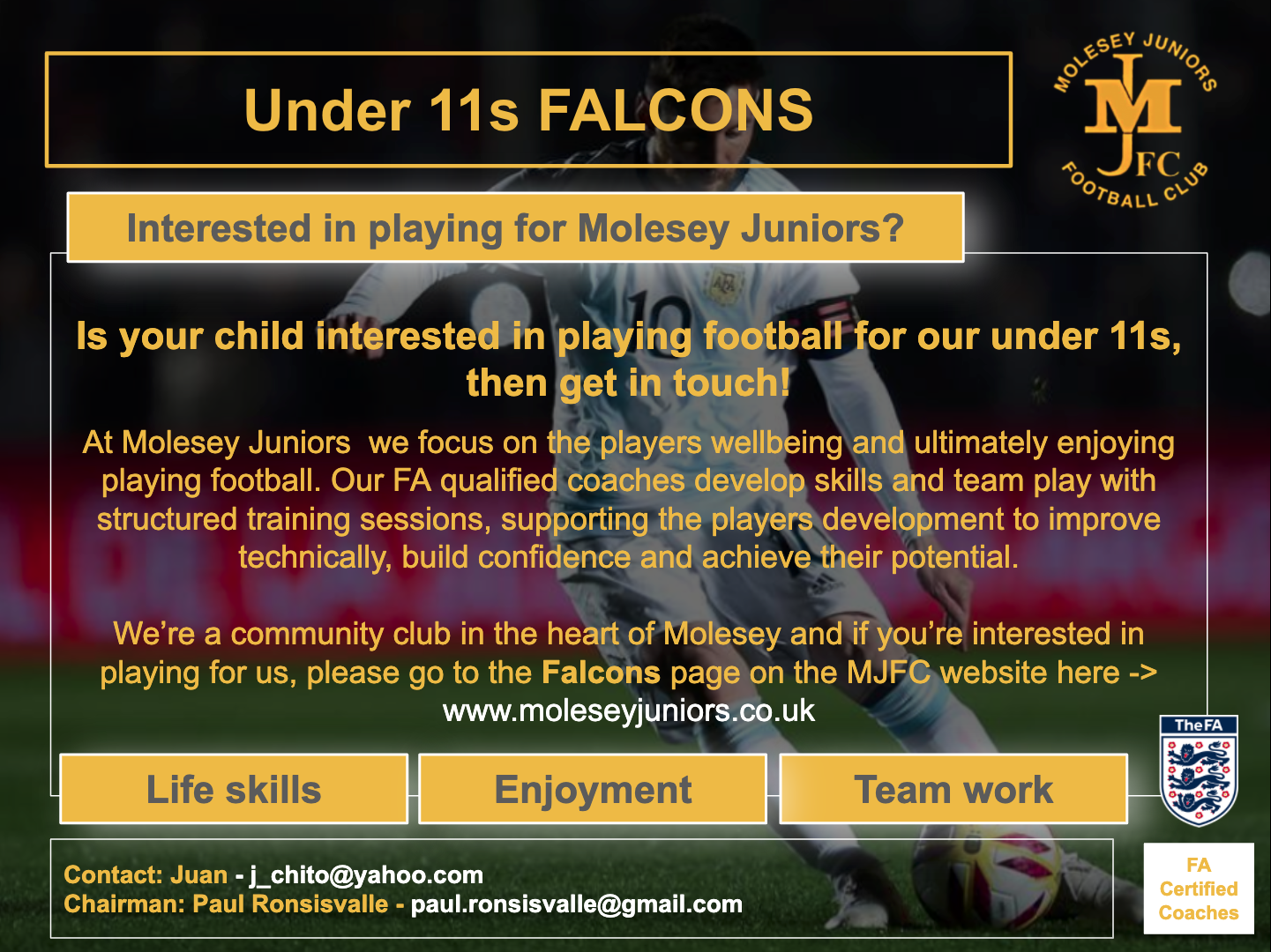 Under 11s Falcons