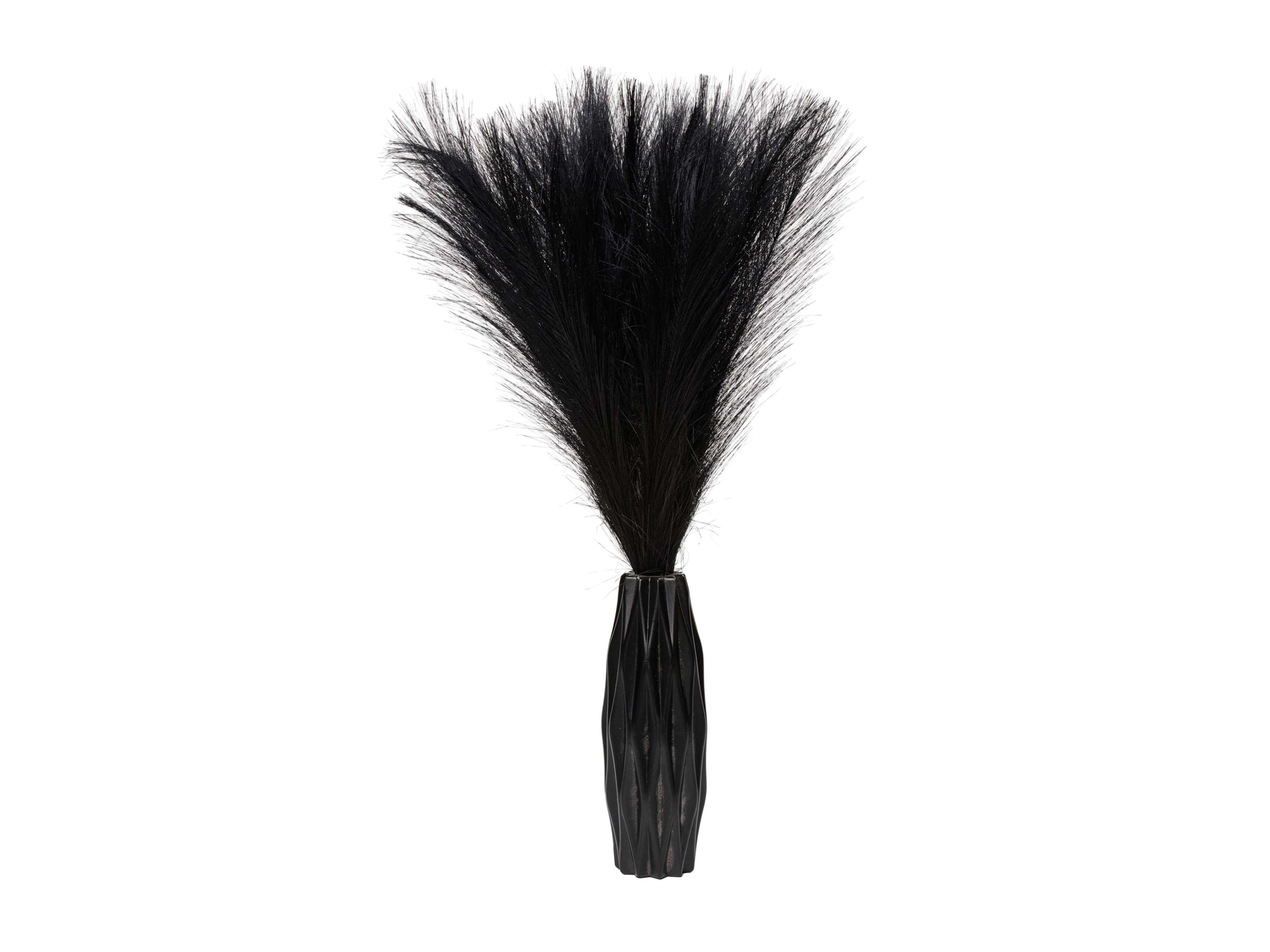 Black Decorative Feather