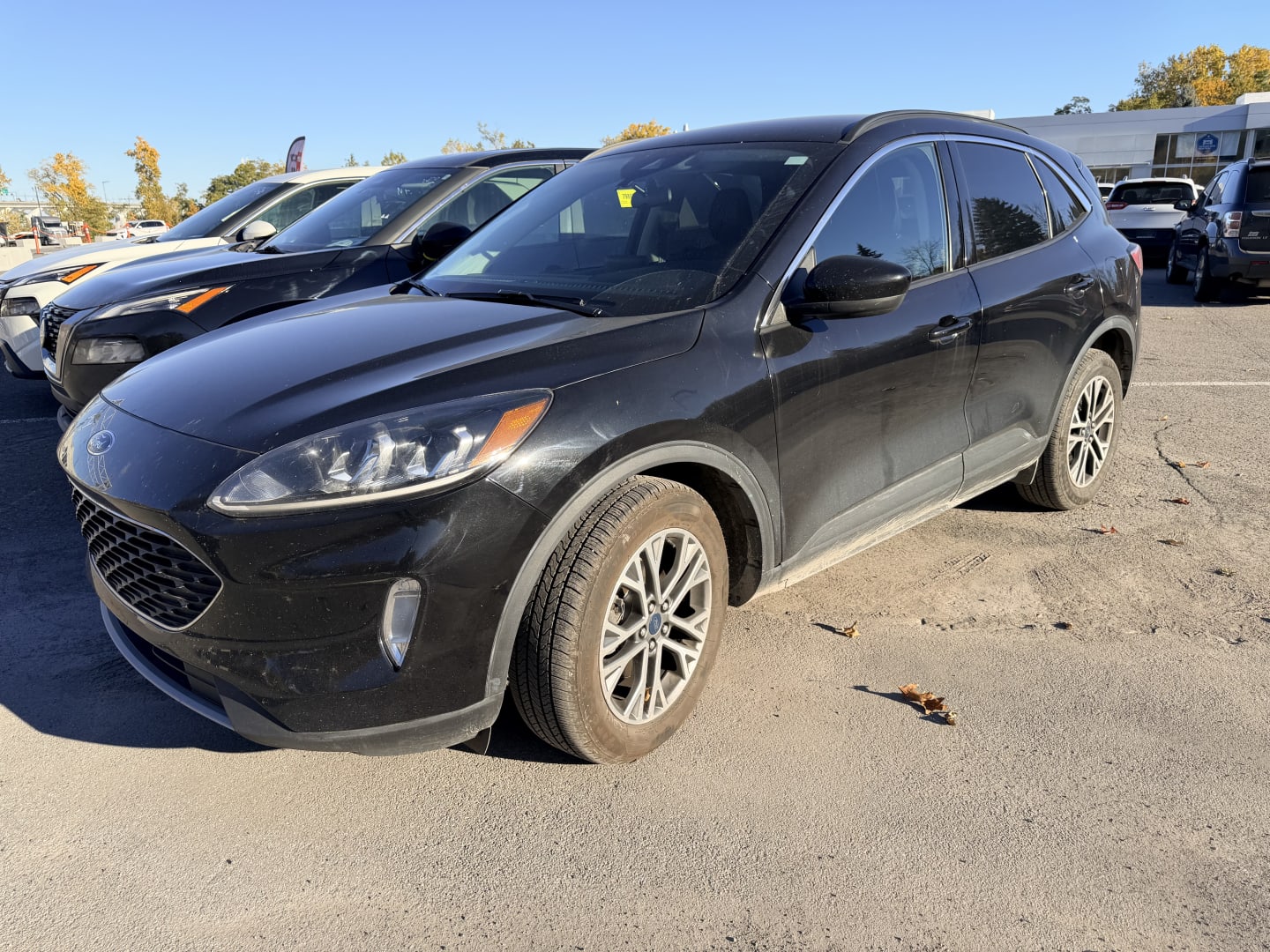 2021 Ford Escape hybrid