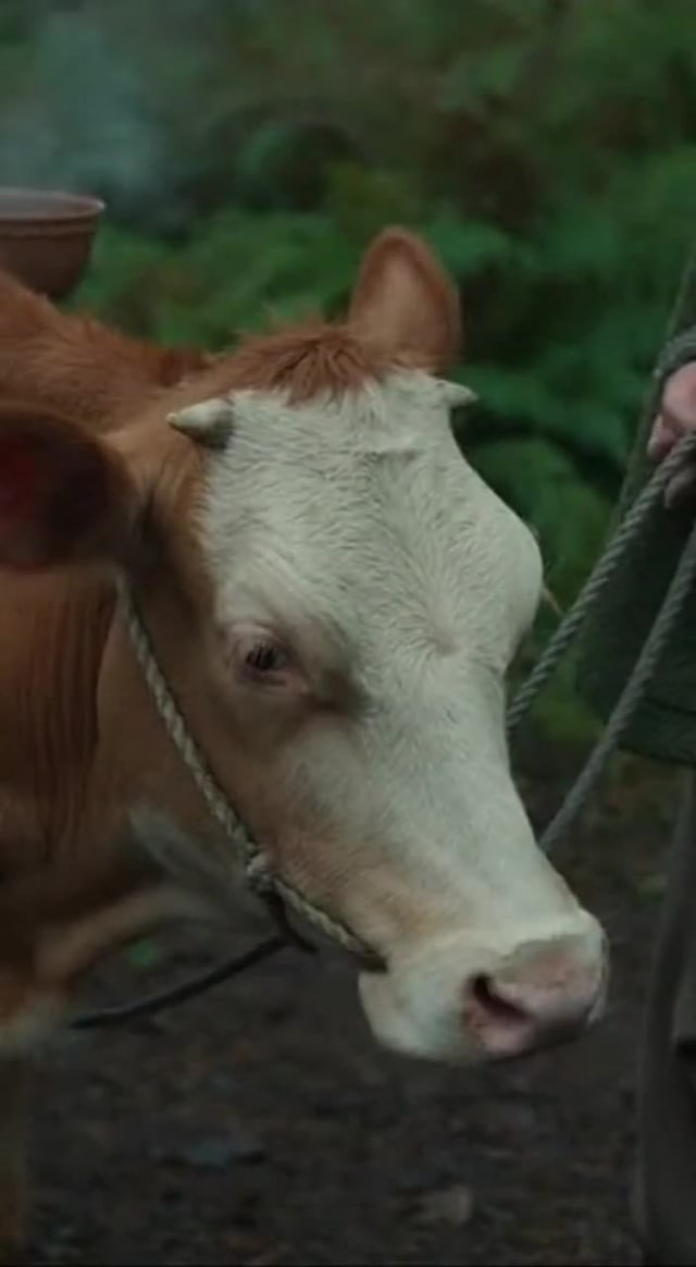 AI video inspiration thumbnail sora2