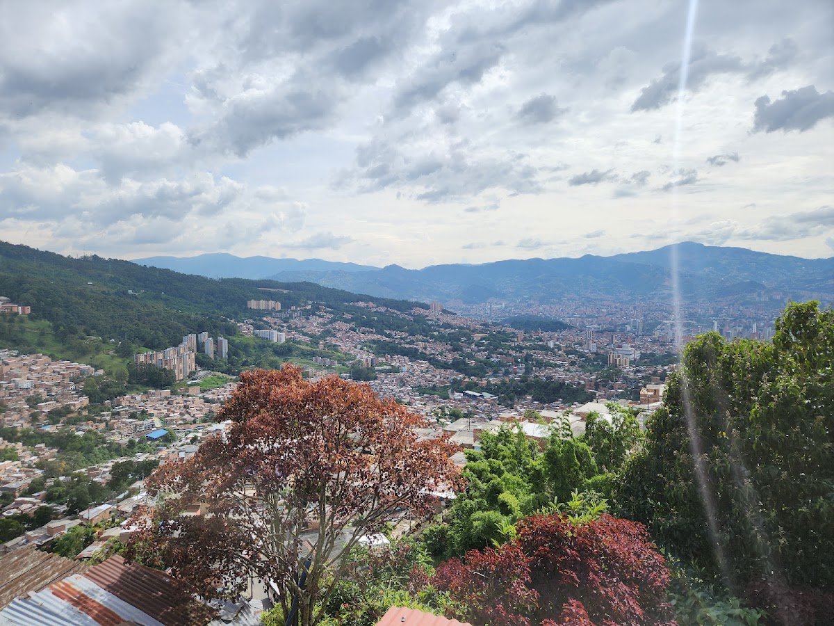 Medellín: Coffee Farm Tour in Barrio La Sierra
