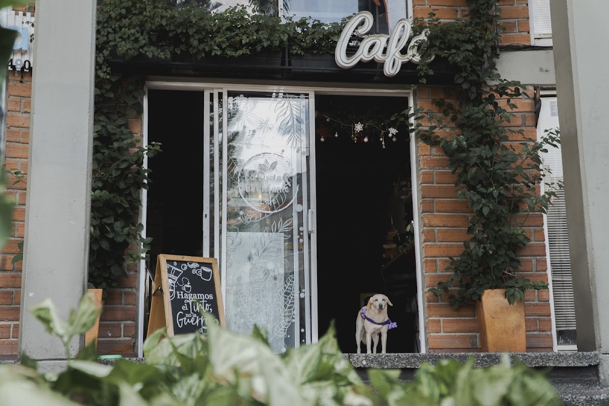 La Civeta & el Elefante - Café