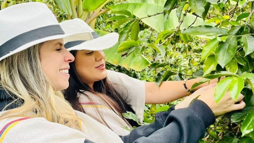 Coffee tour Medellín En Barrio La Sierra