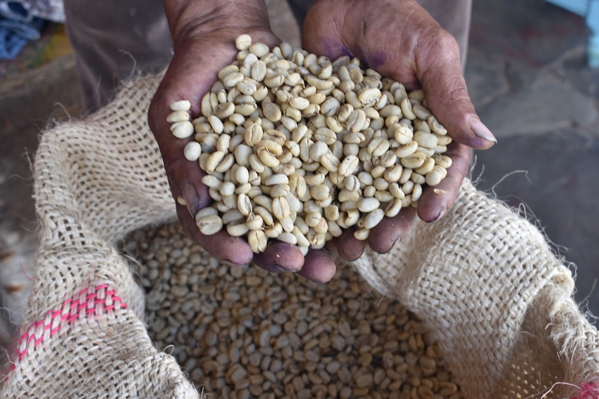 Toné Roasted Coffee