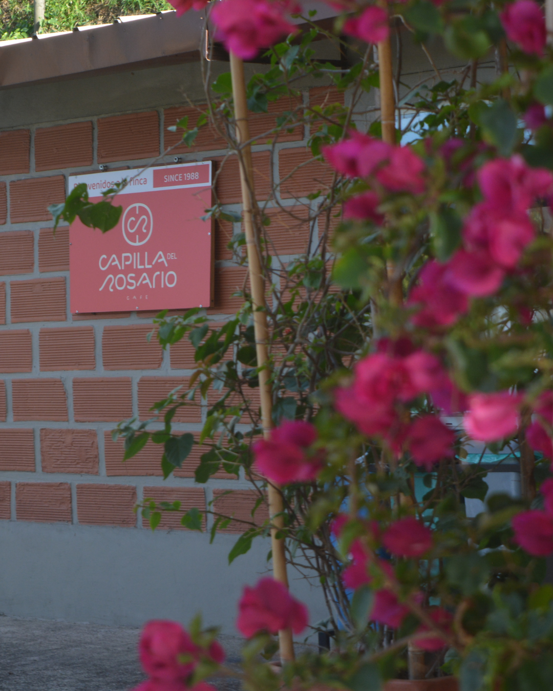 Capilla Del Rosario Café (Laboratorio)